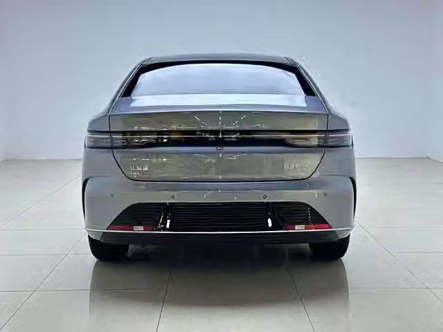 BYD Destroyer 05 2025, фото 6