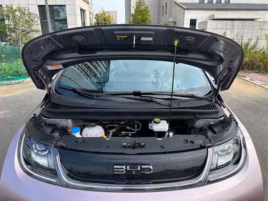 BYD Dolphin 2024, фото 10