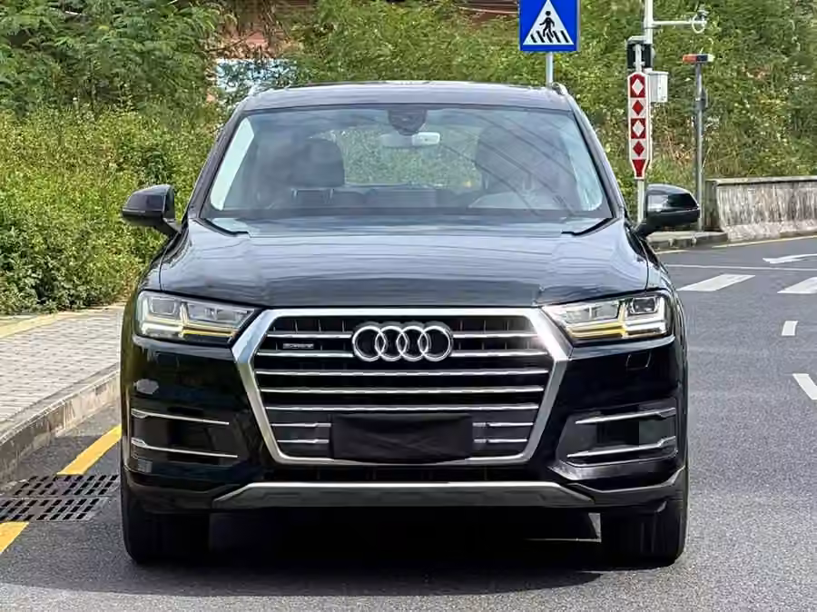 Audi Q7 2017, фото 2
