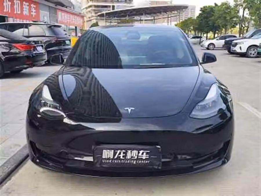 Tesla Model 3 2023, фото 2