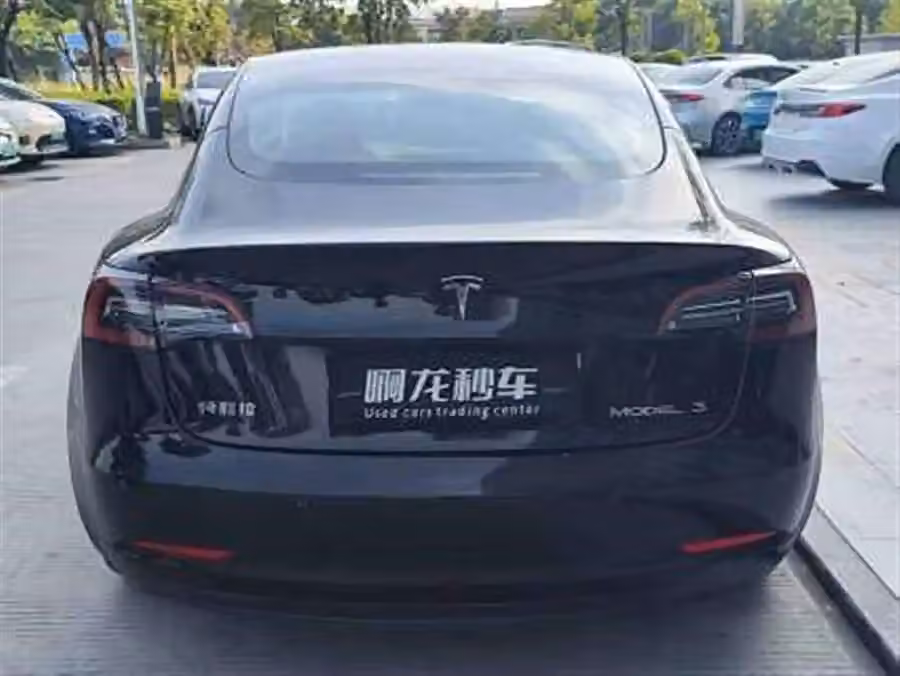 Tesla Model 3 2023, фото 7
