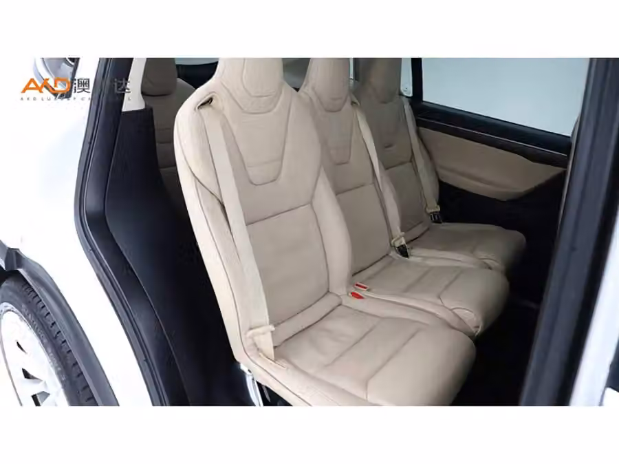 Tesla Model X 2016, фото 8