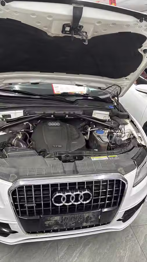 Audi Q5 2017, фото 18