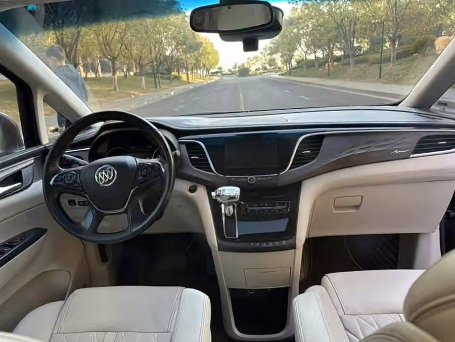 Buick GL8 2017, фото 18