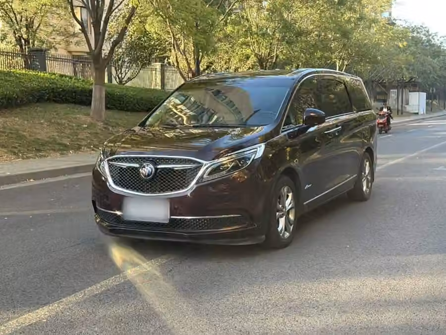 Buick GL8 2017, фото 2