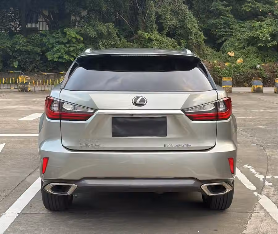 Lexus RX 2018, фото 19
