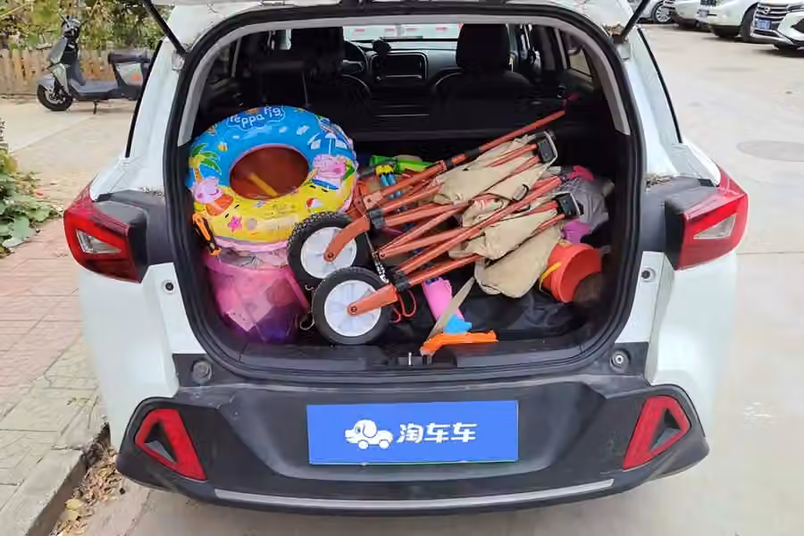 Guangqijituan Qizhi EV 2019, фото 4